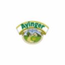 Logo de AYINGER